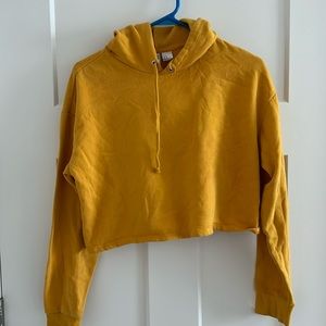 H& M divided cropped hoodie